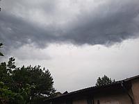 Olešná