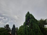 Olešná