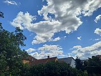Olešná