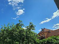 Olešná