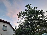 Olešná