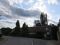 Třibřichy