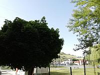Nižná