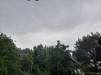 Olešná