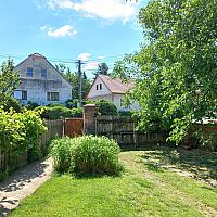 Třibřichy