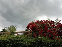 Nižná