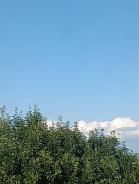 Olomouc-Lazce