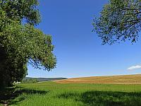 Rousínov