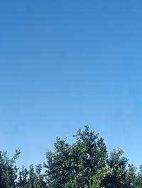 Olomouc-Lazce