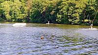 Třebíč-Borovina