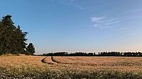 Lukovany