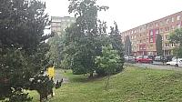 Bílina