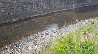 Pelhřimov