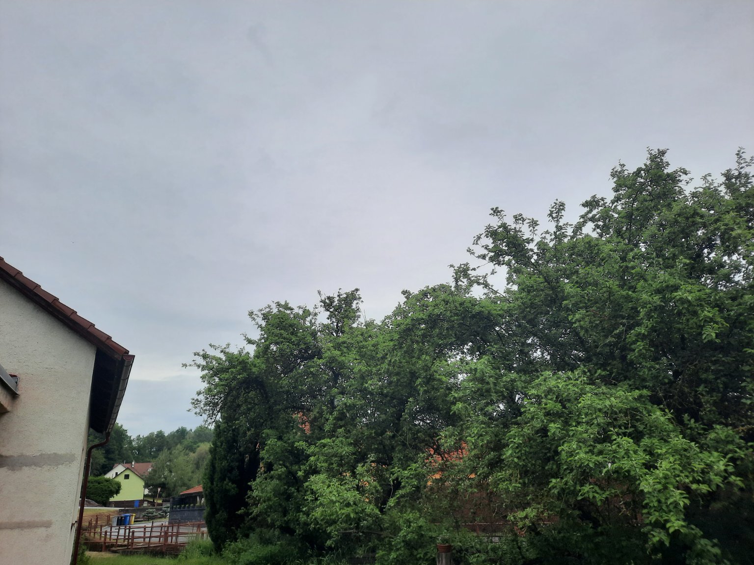Olešná