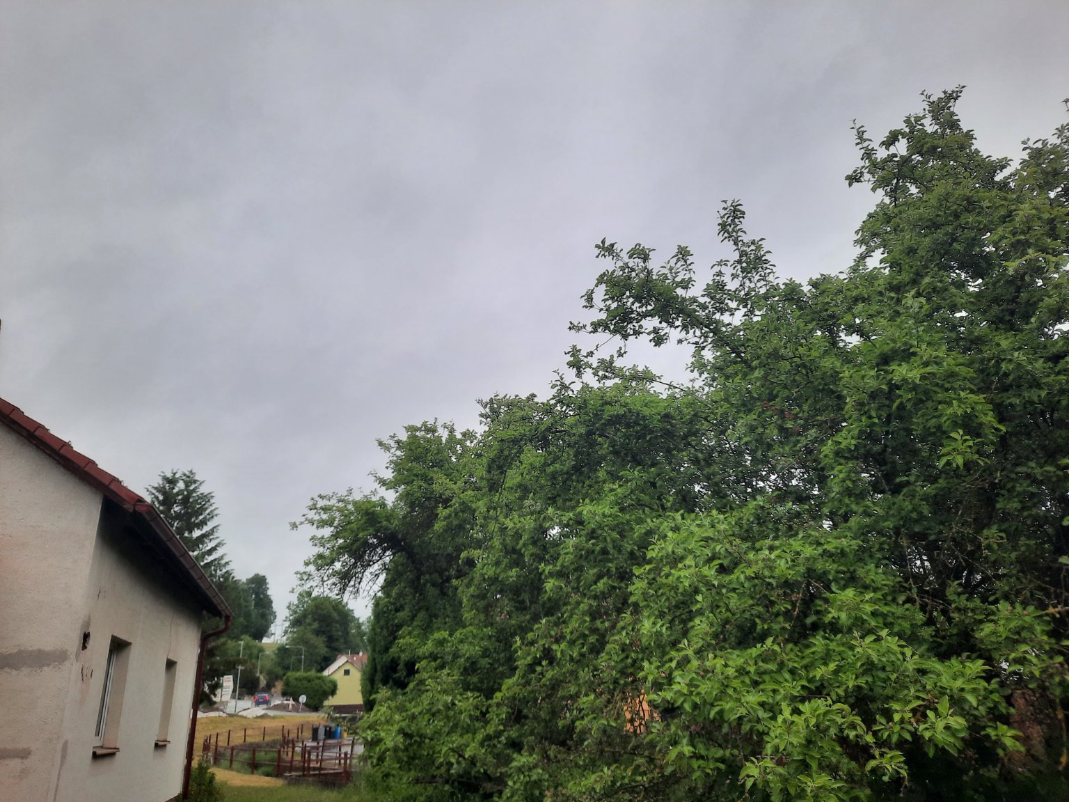 Olešná