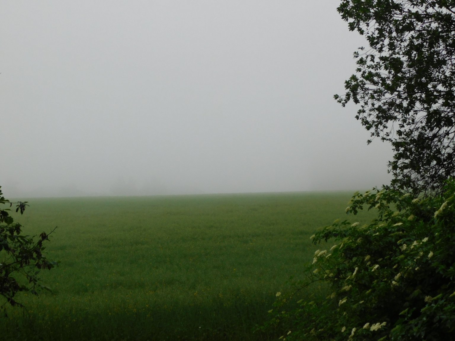 Němčice Zhoř