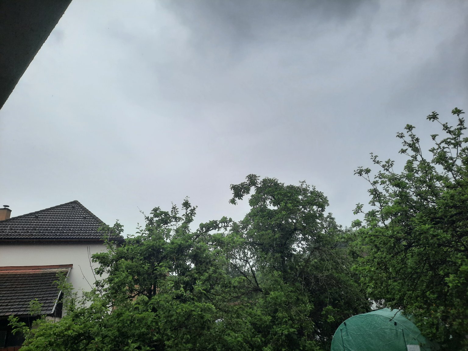 Olešná
