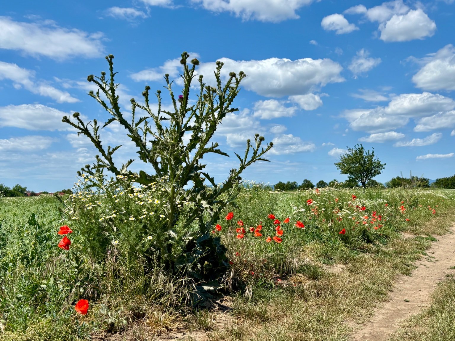Hrnčiarovce nad Parnou