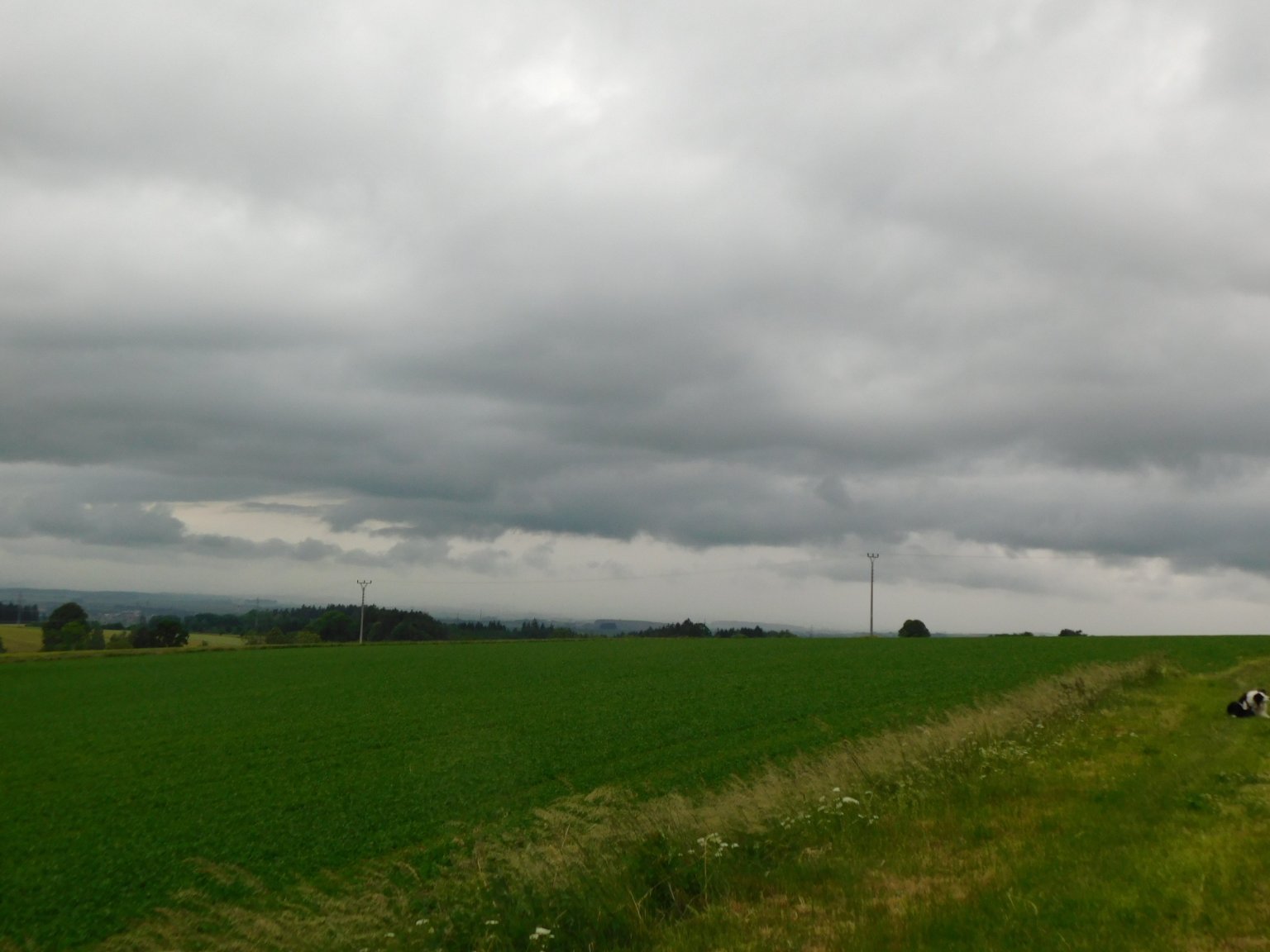 Němčice Zhoř