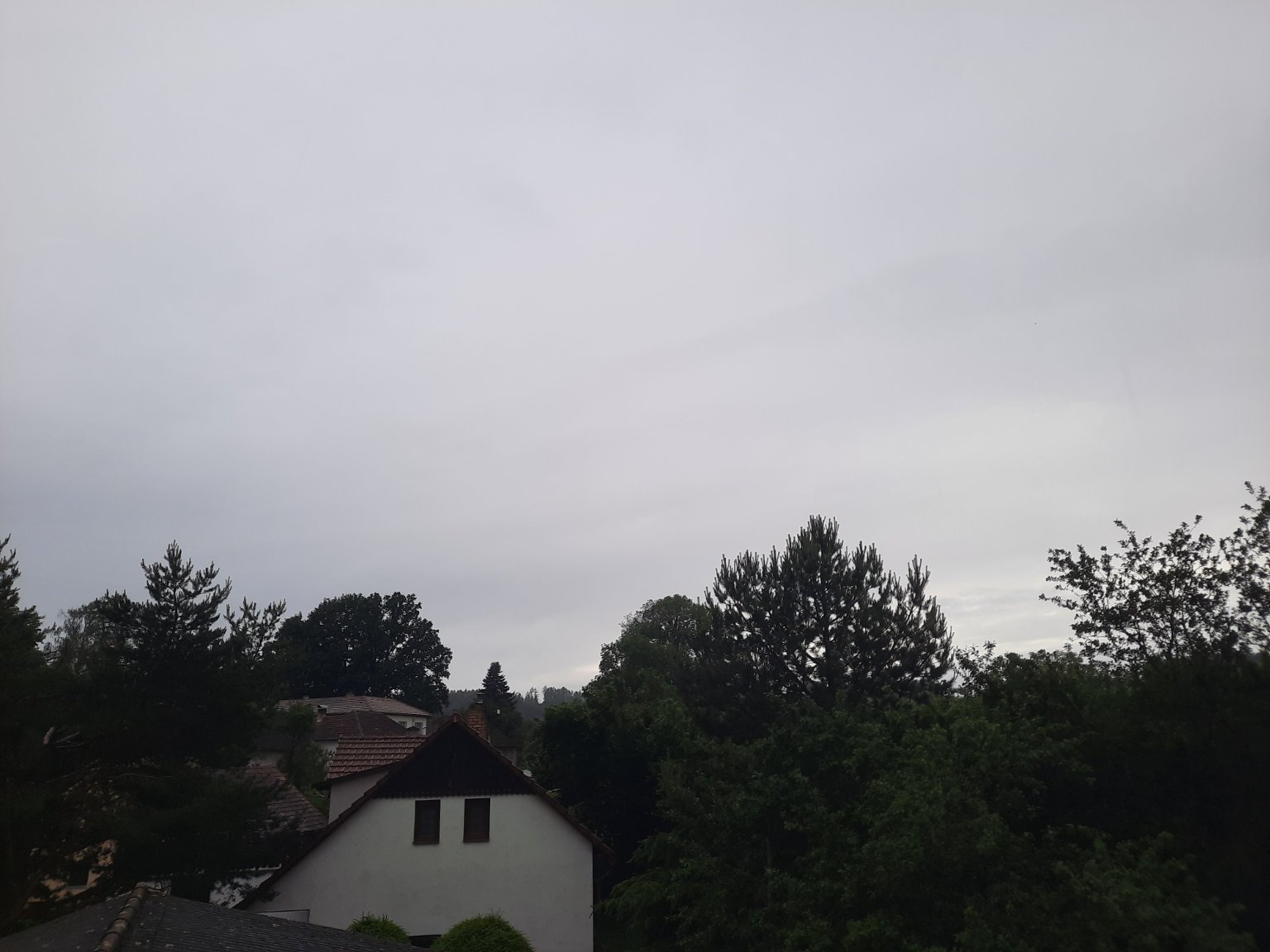 Olešná