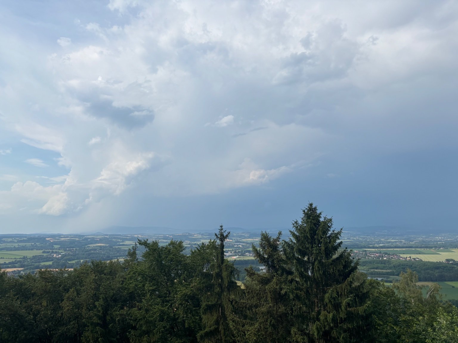 Mužský