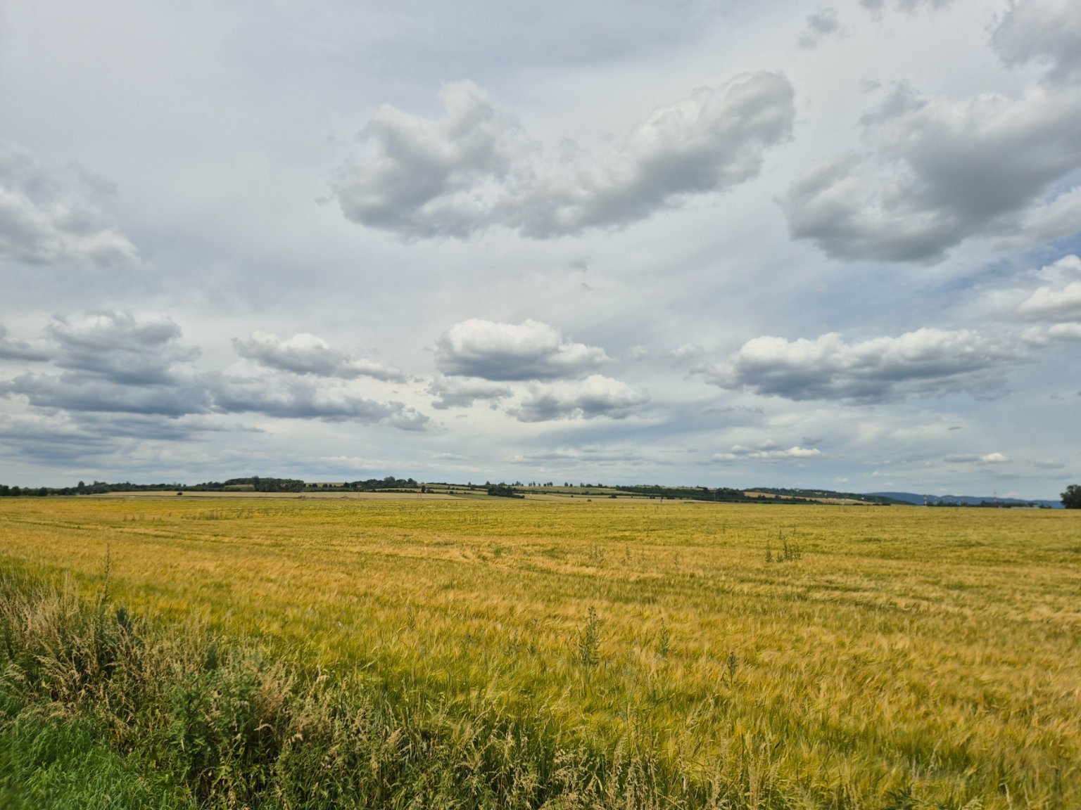 Císařov