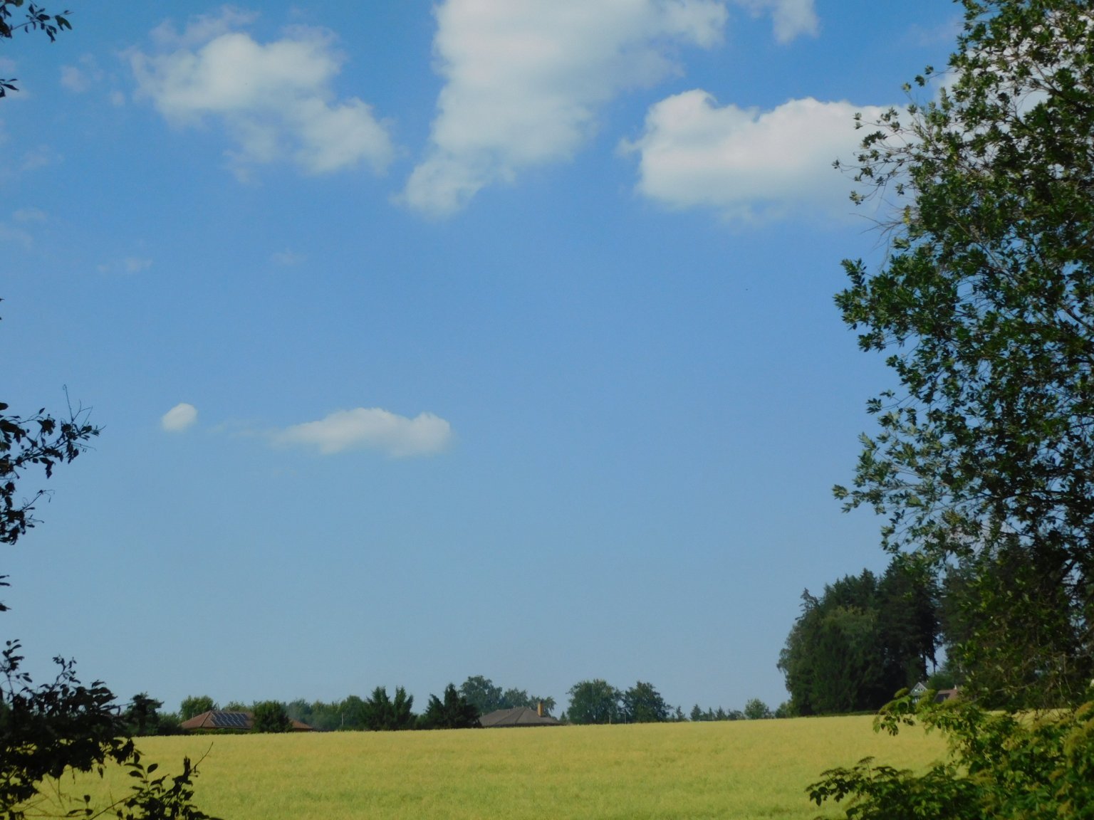 Němčice Zhoř