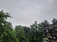 Olešná