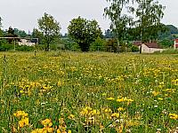 Třebíč-Borovina