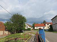 Třibřichy