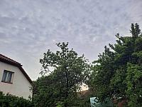 Olešná