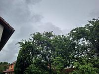 Olešná