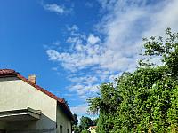 Olešná