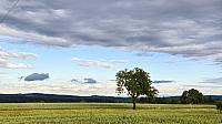 Lukovany