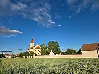 Odrovice