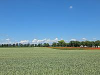 Odrovice