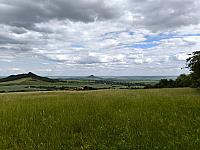 Podsedice