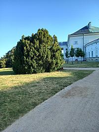 Svatý Mikuláš
