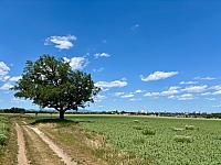 Hrnčiarovce nad Parnou