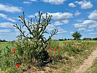 Hrnčiarovce nad Parnou
