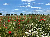 Hrnčiarovce nad Parnou