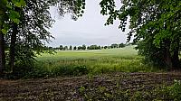 Hořice - Libonice