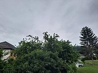 Olešná