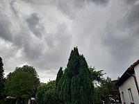 Olešná