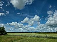 Odrovice