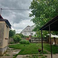 Třibřichy