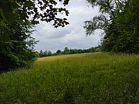 Český Těšín