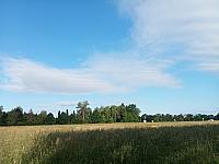 Kopřivnice, Vlčovice
