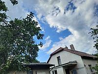 Olešná