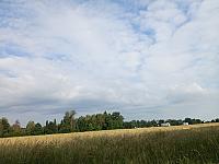Kopřivnice, Vlčovice